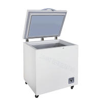Cryopreservation small chest freezer with top opening door LXBX-118LT60